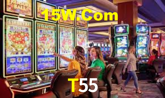 Premium Interface T55