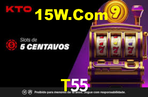 T55 CaSSino