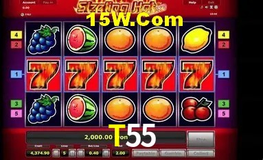 Player Reviews T55